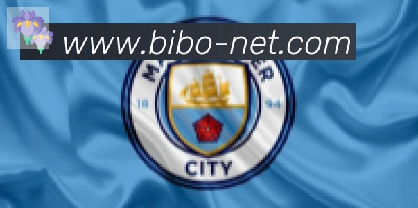 必博bibo官网官方平台合作伙伴